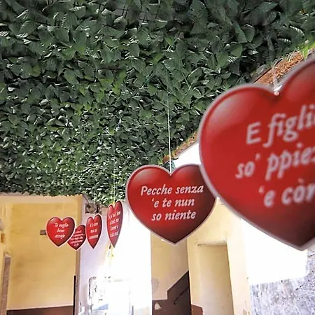 B&B Amore Nocleg ze śniadaniem